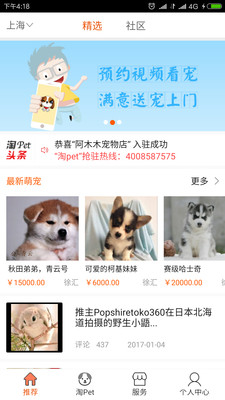 淘宠网