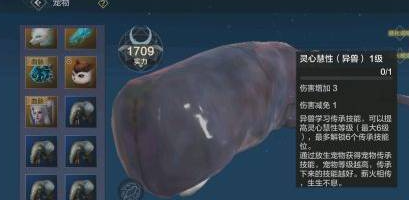 妄想山海异兽材料怎么分解-妄想山海异兽材料分解攻略