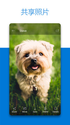 onedrive onedrive