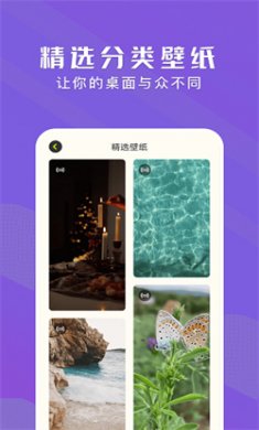 手机动态壁纸大全免费下载