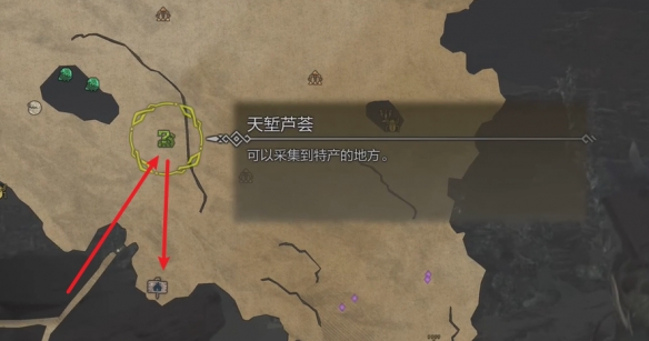 怪物猎人荒野营地在哪-怪物猎人荒野营地位置攻略