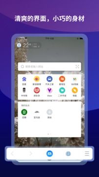 遨游浏览器(Maxthon)