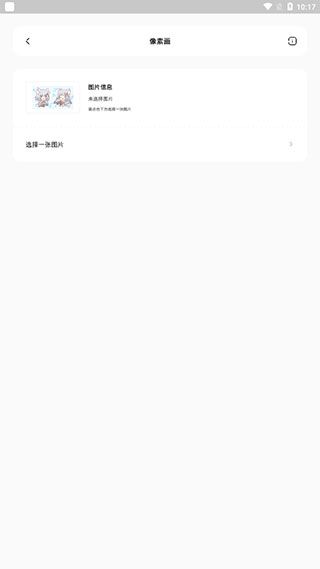 迷你兔子