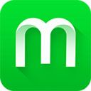 魔秀主题管家(MoXiu Launcher)