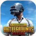 绝地求生手游国际服(PUBG MOBILE)