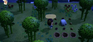 动物之森手游(Pocket Camp)
