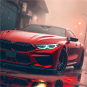 驾驶学校模拟汉化版(Driving School Sim)