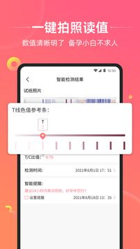 孕橙